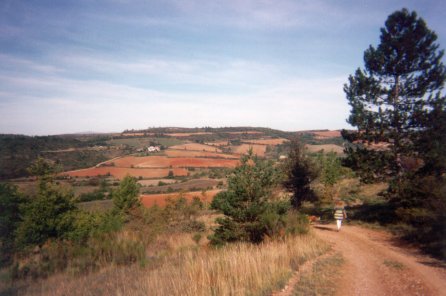 Walking