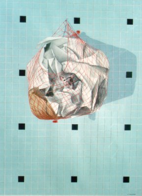 Filet d'oignon - Onion net (1993) by Arlette Steenmans