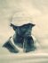 Portrait noir et blanc - Portrait black and white (22kb) by Arlette Steenmans