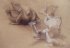 P"Etudes - Studies" (18 + 21 + 18 kb)  by Arlette Steenmans