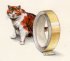 "Le chat - The cat" (24kb)  by Arlette Steenmans