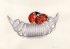 "Les coccinelles - The ladybirds" (15kb)  by Arlette Steenmans