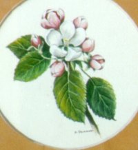 "Collection de fleurs - Flower collection" (1999)  by Arlette Steenmans