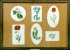 "Collection de fleurs - Flower collection" (24+5+9+6+4+4+7 kb)  by Arlette Steenmans