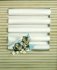 "Deux chats - Two cats" (22kb)  by Arlette Steenmans