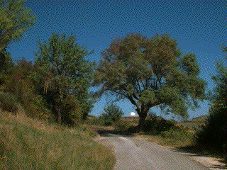 Le paysage